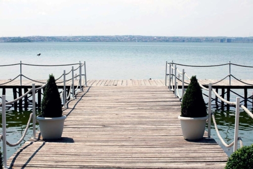 LaMaison_portofoliu_SummerHouse_11